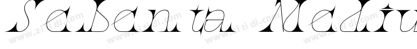 Sebenta Medium Itali字体转换
